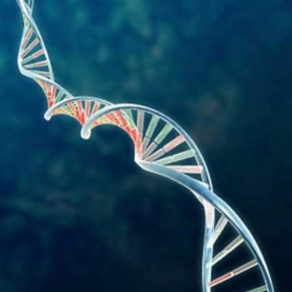 DNA and Genetic Inheritance